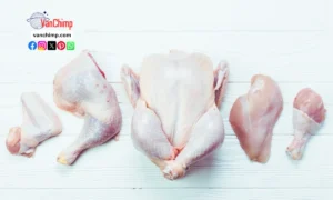 1kg Chicken Rate Today