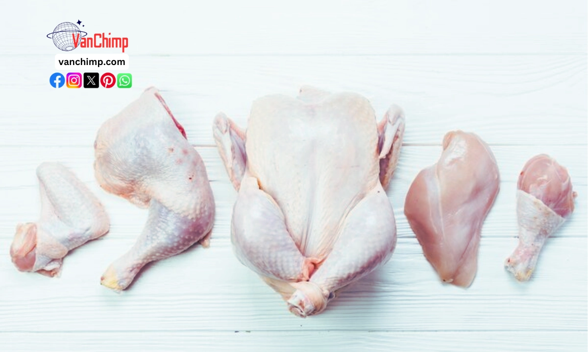 1kg Chicken Rate Today